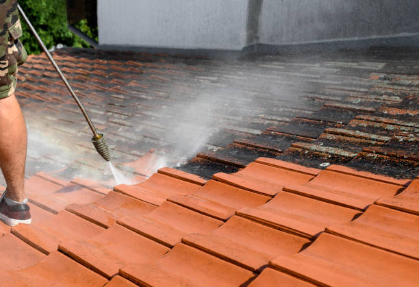 Best Deck Pressure Washing  in Flat Rock, MI