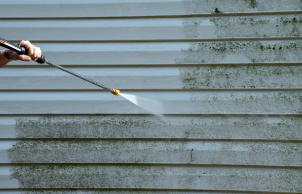 Best Pressure Washing Brick  in Flat Rock, MI