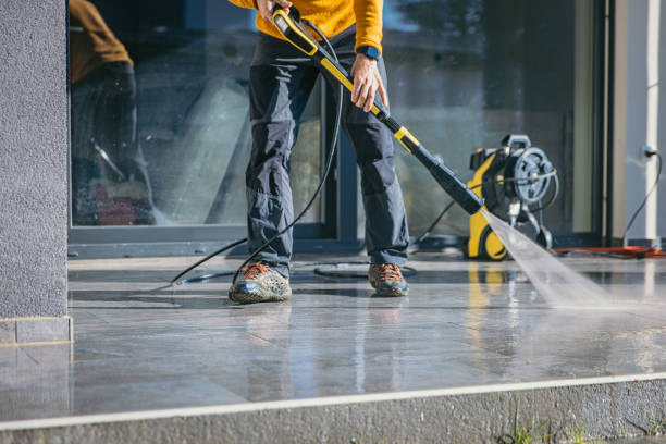 Best Residential Pressure Washing Services  in Flat Rock, MI