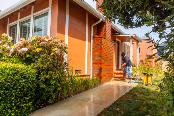 Best Commercial Pressure Washing  in Flat Rock, MI