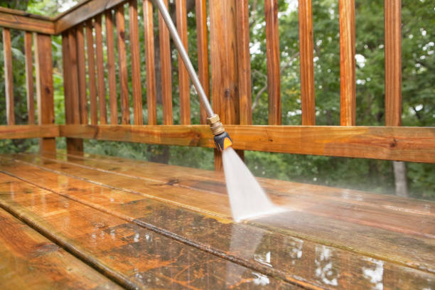 Best Affordable Power Washing  in Flat Rock, MI