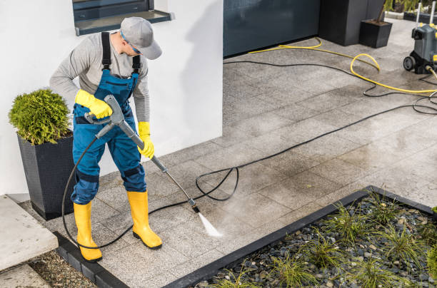 Best Sidewalk Pressure Washing  in Flat Rock, MI